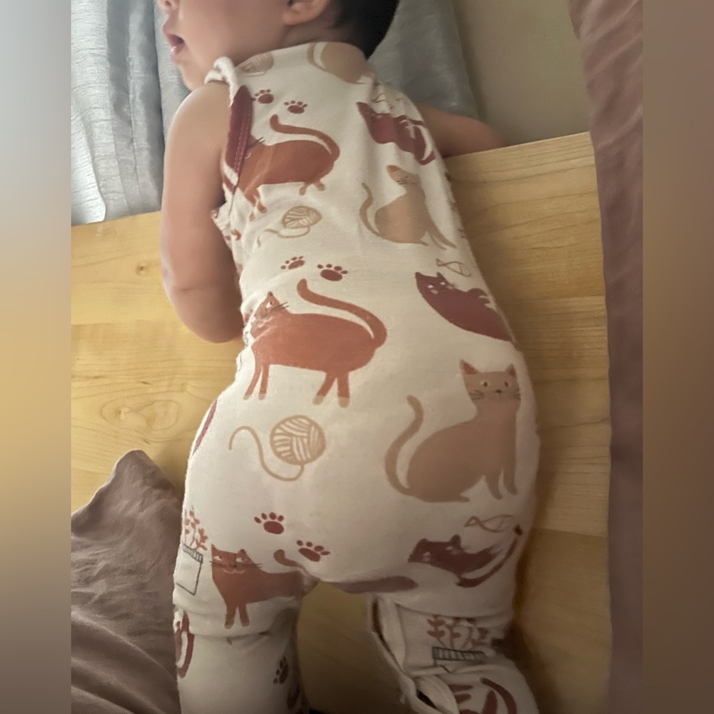 Spearmint Love Cat Print Baby Romper in Cream with Rust & Tan Cats